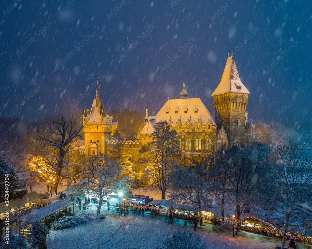 Obraz Budapest, Hungary - Christmas market in snowy City Park (Varosliget) from above at night with snowy trees and Vajdahunyad castle