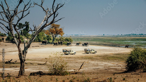 Touristen begegnen einer Gruppe Afrikanischer Elefanten (Loxodonta africana) während eines Game Drives, Chobe flood plains, Botswana photo