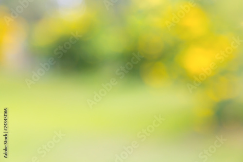 Abstract blur green yellow nature background.