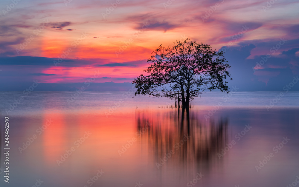 Fototapeta premium Tree in the lake with beautiful twilight.