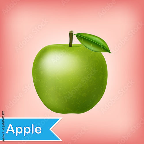 Vector Illustration Of Green Apple