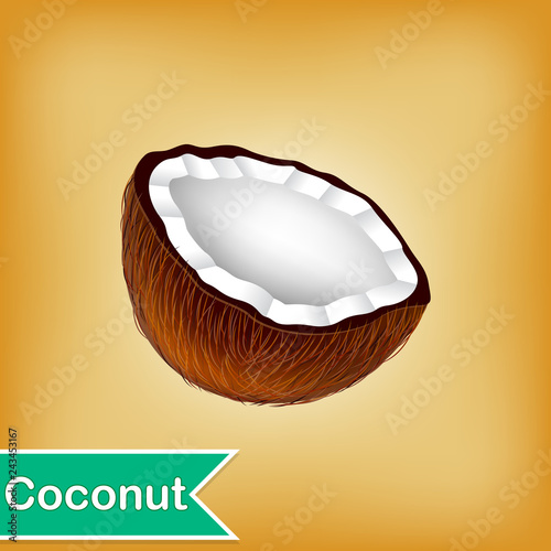 Vector Illustration Of Coconut