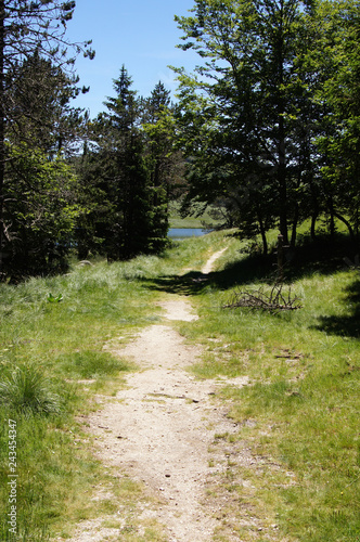 Lac des Pises en forêt de Lingas