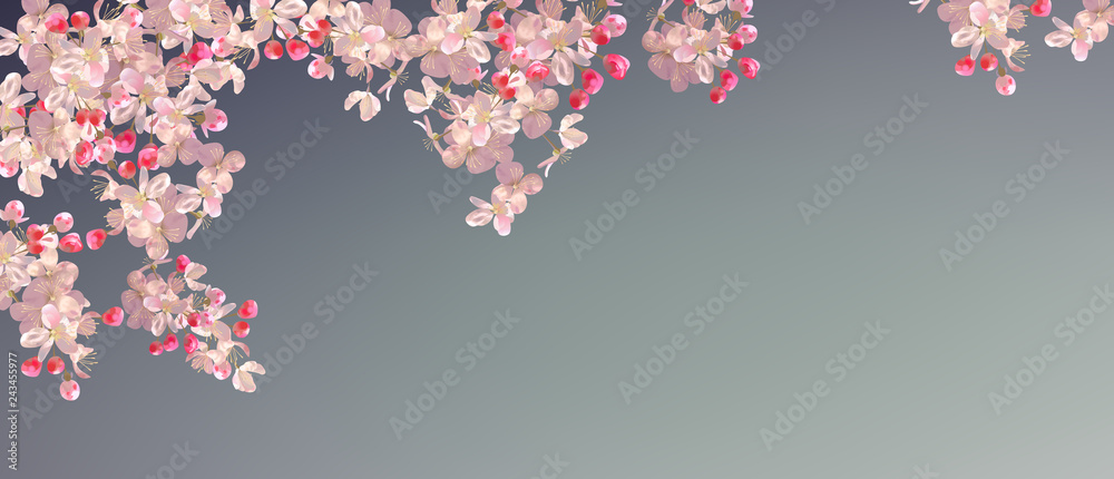 Fototapeta premium Spring Blossom Background