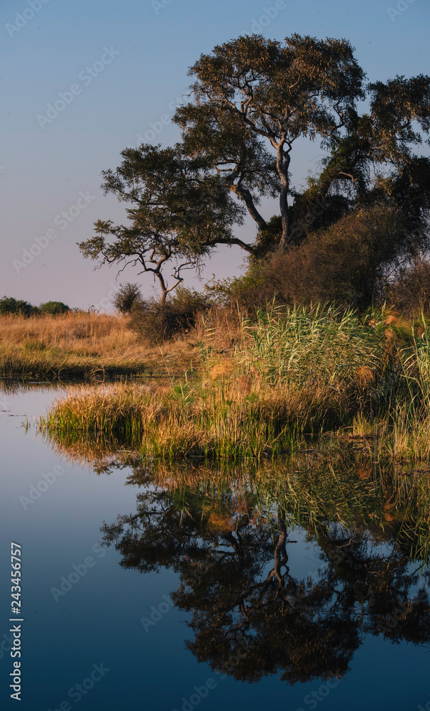 Blick vom Wasser auf die Uferlandschaft am Kwando River bei Sonnenaufgang, Cabrivi, Namibia 