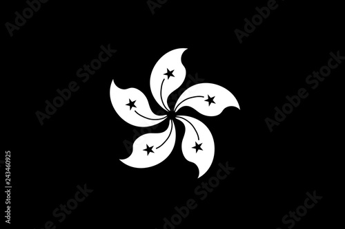 Hong Kong flag monochrome