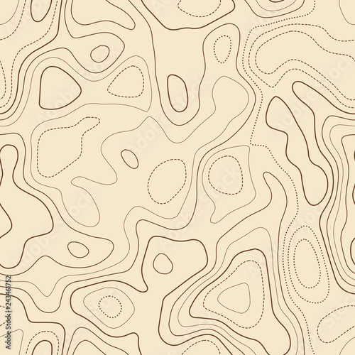 Contour lines. Actual topographic map. Seamless design, bizarre tileable isolines pattern. Vector illustration.