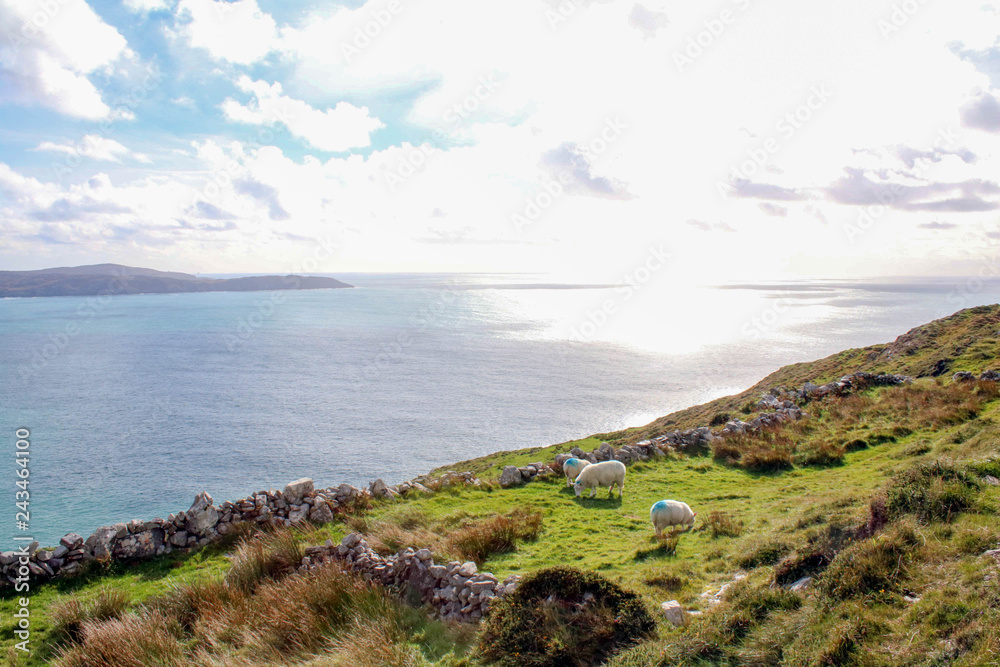 Hill walks over the Sheeps head peninsula West Cork Ireland