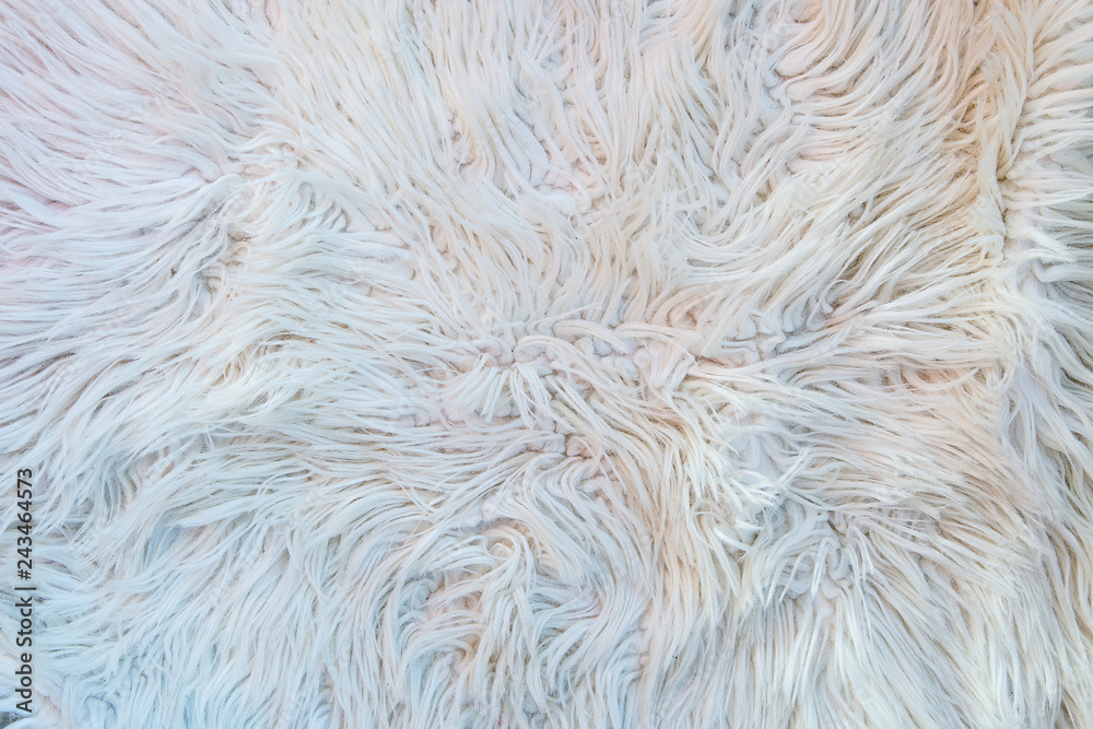 Fototapeta premium texture of fur