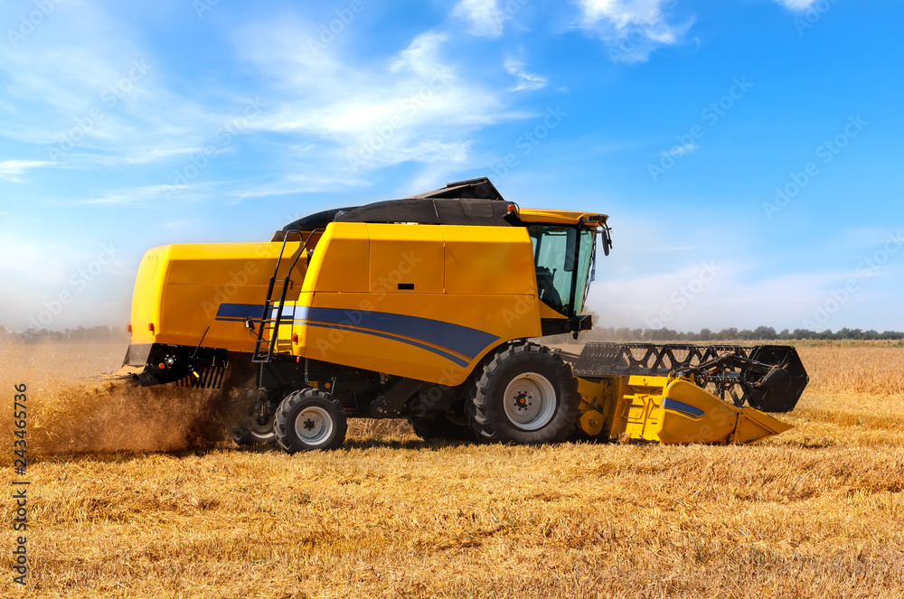 Fototapeta premium Combine harvester on a wheat field.