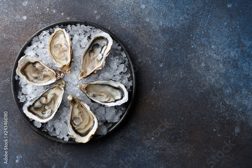 Fresh opened oysters in a plate with ice and lemon on blue textured background, top view
