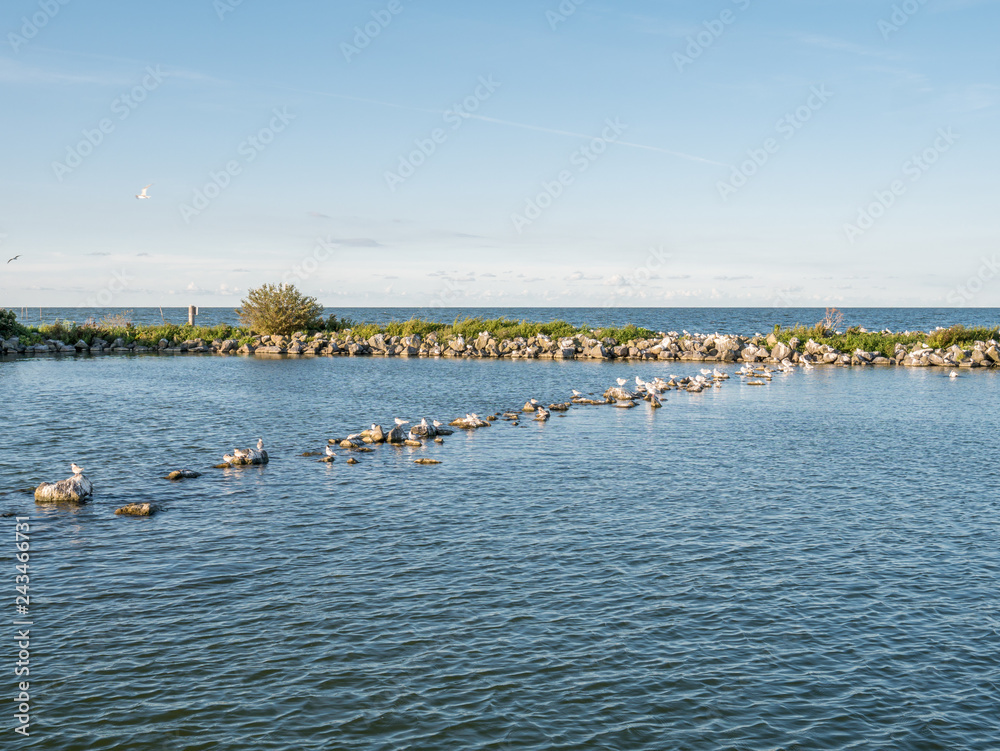 Panorama of breakwaters and birds on artificial island De Kreupel in lake IJsselmeer, Netherlands