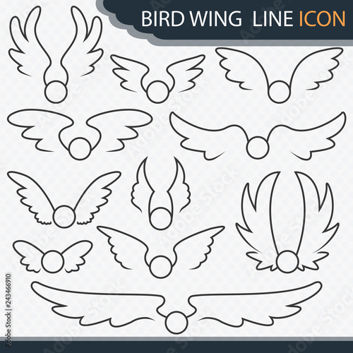 Bird Wing Line Icon - Vector