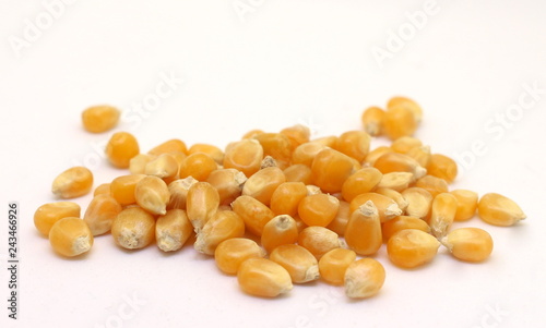 A pile of corn kernels isolated against a white background.  Popcorn, sweetcorn kernels. Raw food ingredient