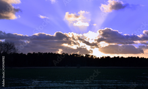 Wallpaper Mural Sonnenuntergang am Feld Torontodigital.ca
