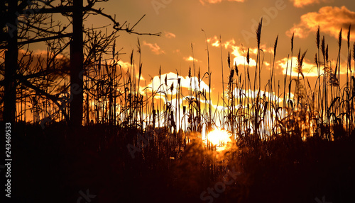 Wallpaper Mural Winterfeld Torontodigital.ca