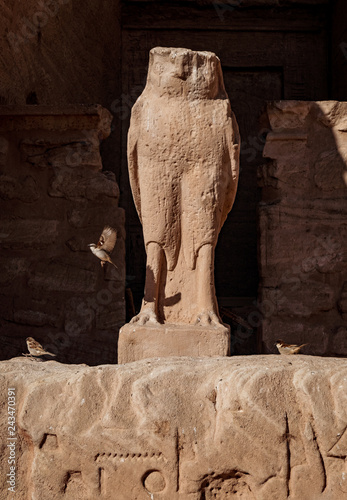 The Statue of God Horus Ancyent Egypt Civilisation photo