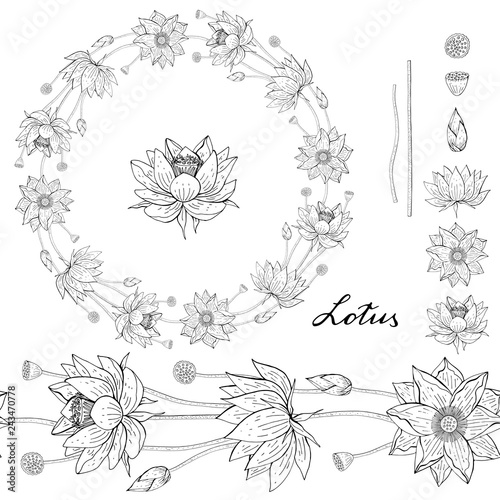 Fototapeta Naklejka Na Ścianę i Meble -  Black and white Wreath and seamless brush from lotus flower, floral round decoration border, botanical design elements