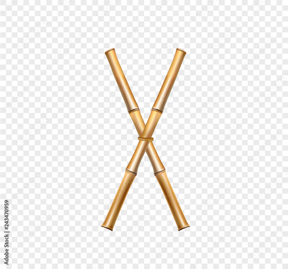 Bamboo letter X isolated on transparent background Bamboo letter X isolated on transparent background