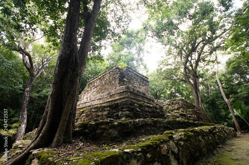 Fototapeta Naklejka Na Ścianę i Meble -  Mayan ruins in the middle of the Mexican jungle, ancient stone buildings invaded by plants and trees. jungle that takes possession of the Mayan ruins