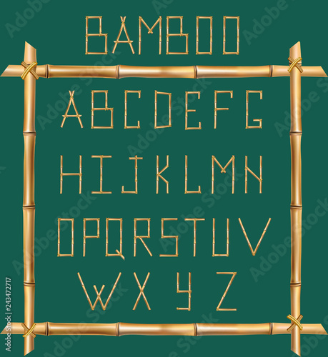 Vector bamboo alphabet isolated on green background.