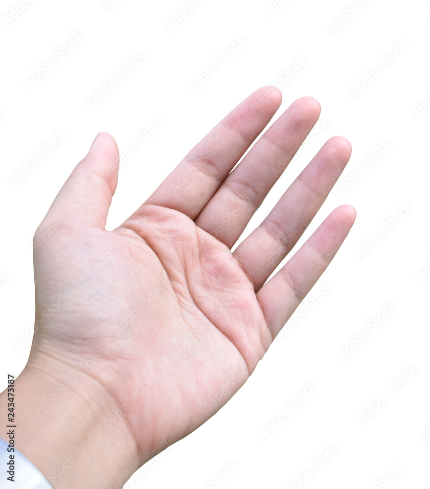 Presenting hand isolate in white background Presenting hand isolate in white background