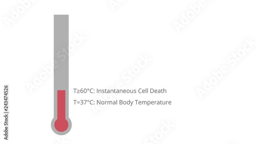 Electrosurgery Effects of Temperature on Cells, Protein, and Tissue Animation photo