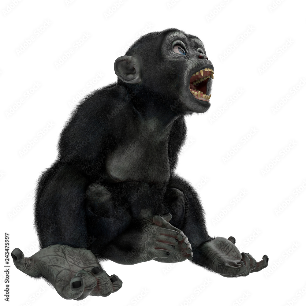 Obraz premium baby chimpanzee cartoon in a white background