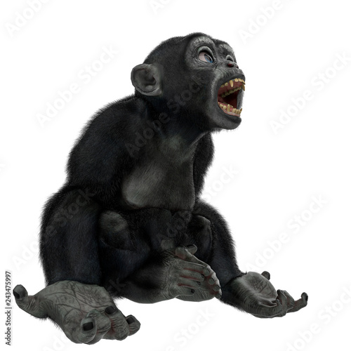 baby chimpanzee cartoon in a white background © DM7
