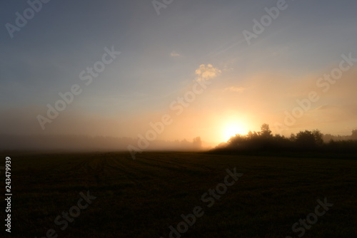 Blue dawn sky with a bright flash of sun in the morning summer mist over the sloping field behind the trees