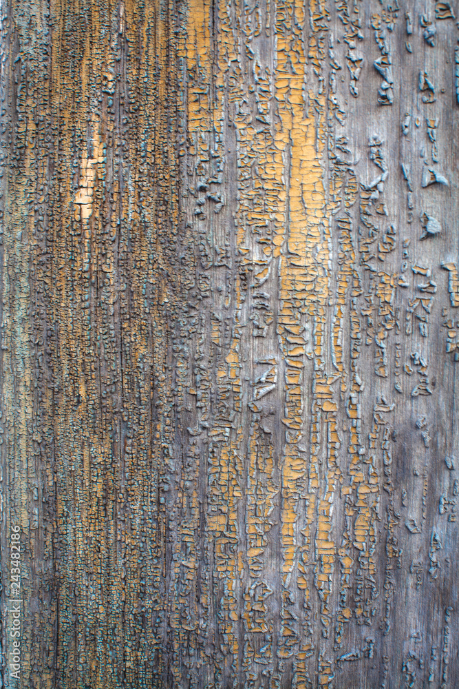 Obraz premium an old wooden house wall at sunset