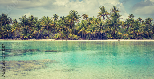 Idyllic paradise Island. Palm and lagoon landscape. 