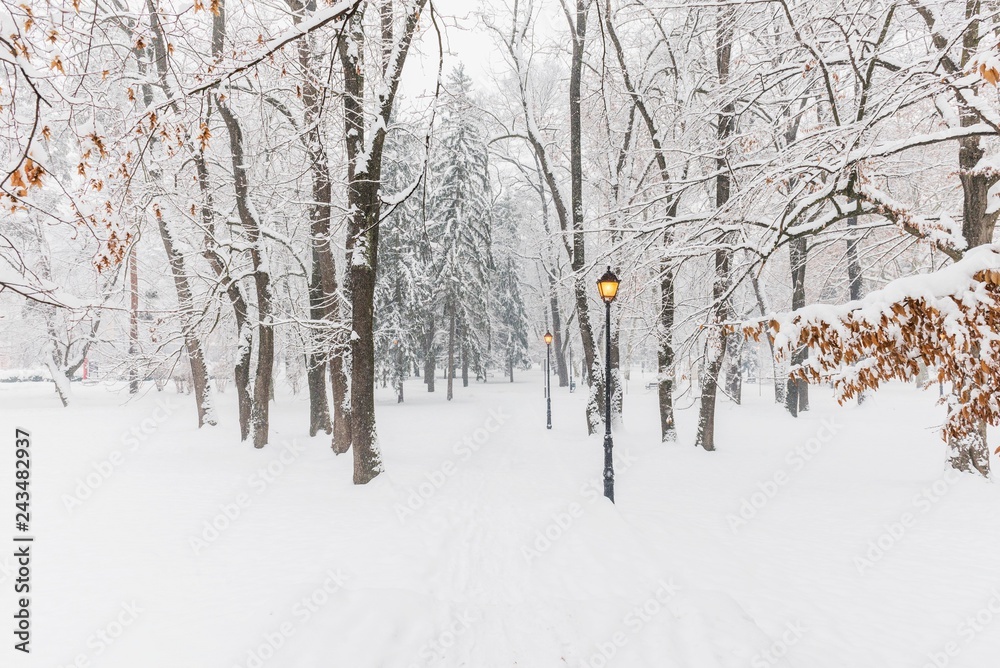 Snow city park at Vrnjacka banja. Snow city park at Vrnjacka banja.