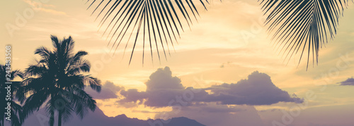Tropical paradise palm tree banner background.
