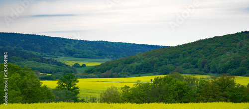 gelbe Landschaft