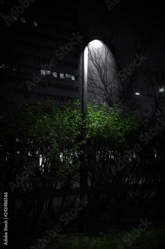 Nature to civilization