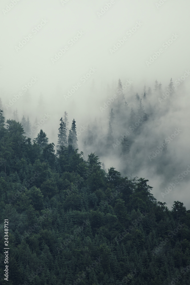 Naklejka premium Misty mountain landscape