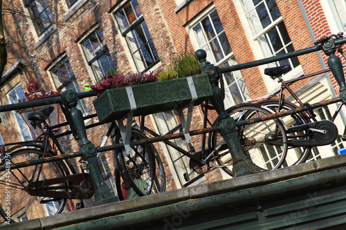 bicycles in amsterdam