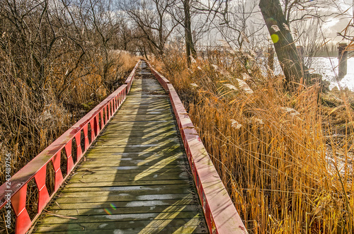 Elevated footpath made of steel beams and wooden planks in between reeds, trees and bushes on a tidel floodplain of the river Oude Maas in Ruigeplaatbos nature reserve near Hoogvliet, The Netherlands photo