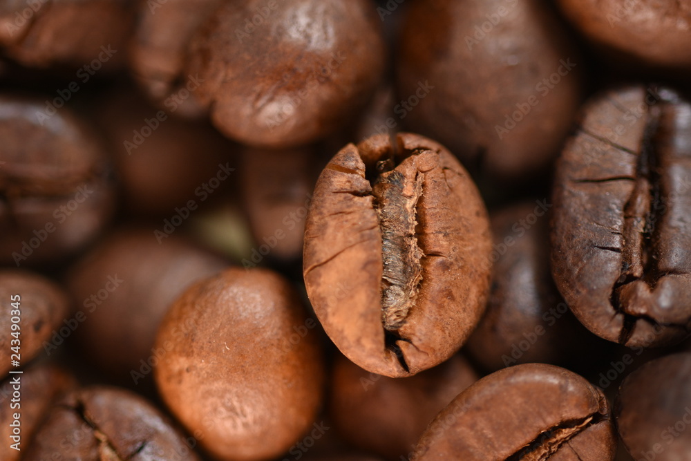 Naklejka premium coffee beans
