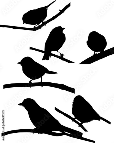 set of six birds on branches black silhouettes