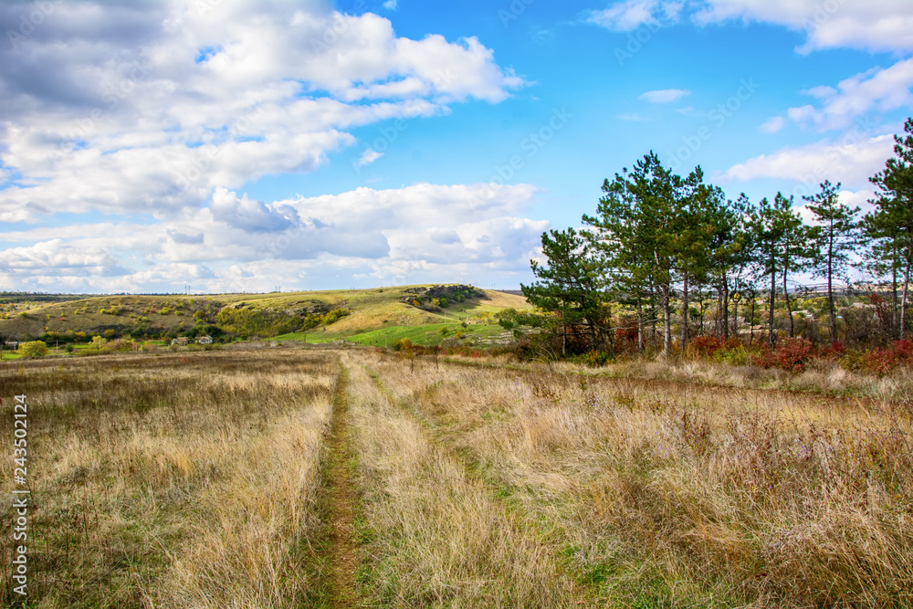 View of the edge of the autumn forest in the Donbass 2.