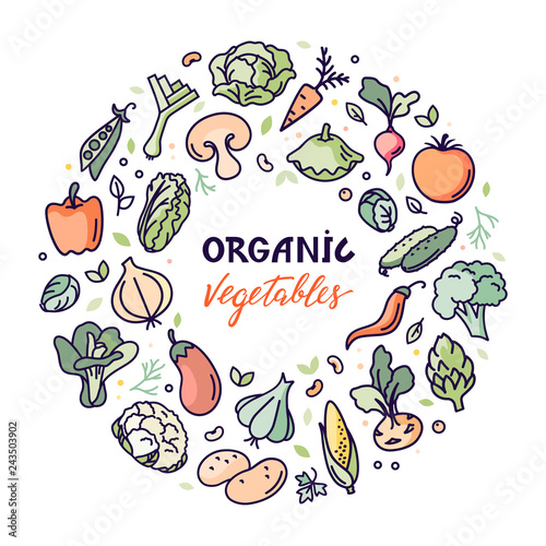 Organic farm vector concept with vegetables and custom typography. Perfect local farm market advertising or healthy lifestyle illustration.