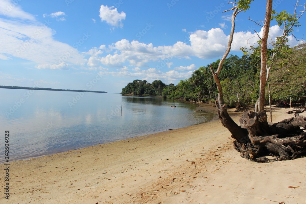Brazil, Pará, Mocajuba; Beach; Nature; no people; nobody.