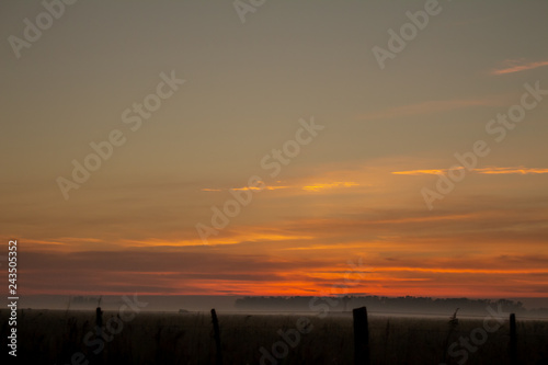 Dawn in the field. Clouds dyed in warm colors during the sunrise.