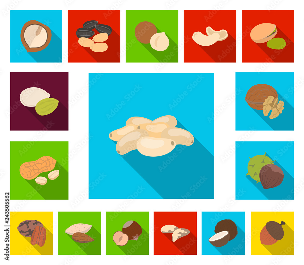 Different kinds of nuts flat icons in set collection for design.Nut Food vector symbol stock web illustration.