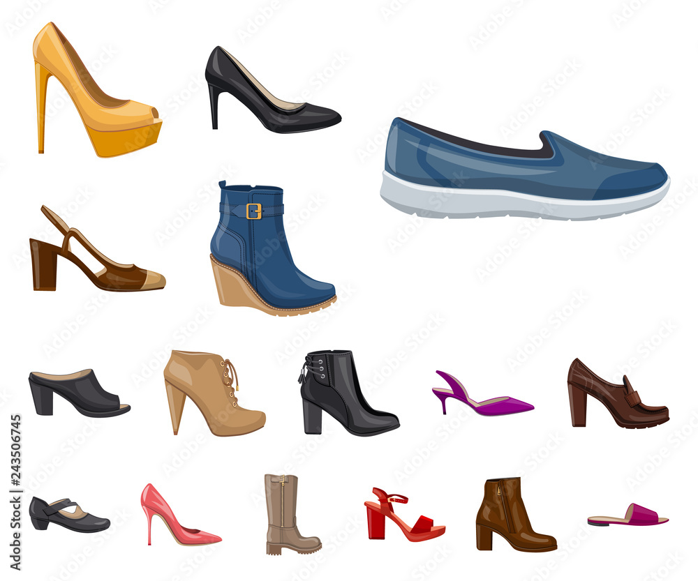 Vector illustration of footwear and woman symbol. Set of footwear and foot stock vector illustration.
