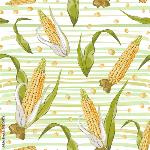 Corn seamless watercolor pattern. Autumn harvest. Corn cobs background. Print on paper or textile.
