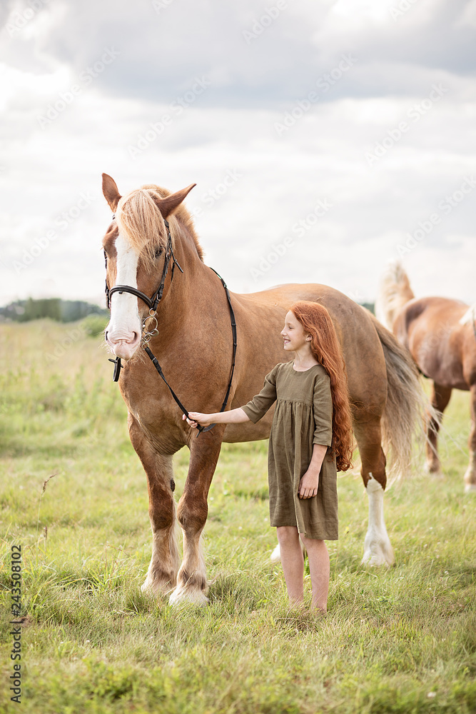 Naklejka premium girl with brown horse in the field