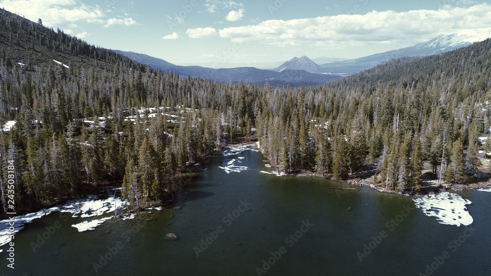 Aerial view of Mt Shasta, trees and lake